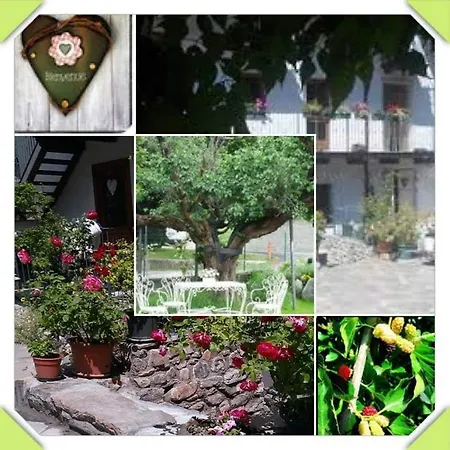 Maison Virginie